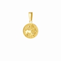 Złota zawieszka znak zodiaku warianty próby 585