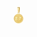 Złota zawieszka znak zodiaku warianty próby 585
