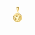 Złota zawieszka znak zodiaku warianty próby 585