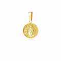 Złota zawieszka znak zodiaku warianty próby 585