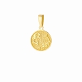 Złota zawieszka znak zodiaku warianty próby 585