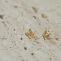 Złote kolczyki Linea Butterfly próby 585