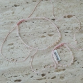 Morganite Blush – morganit i złoto 585
